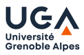 Université Grenoble Alpes