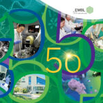 Communiqué de presse : EMBL Grenoble célèbre ses 50 ans